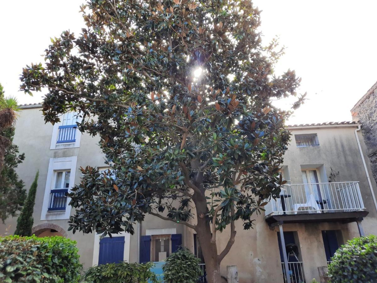 Appartement De Charme Sur Le Port De Marseillan 外观 照片